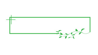绿色植物图框叶子元素gif动态图